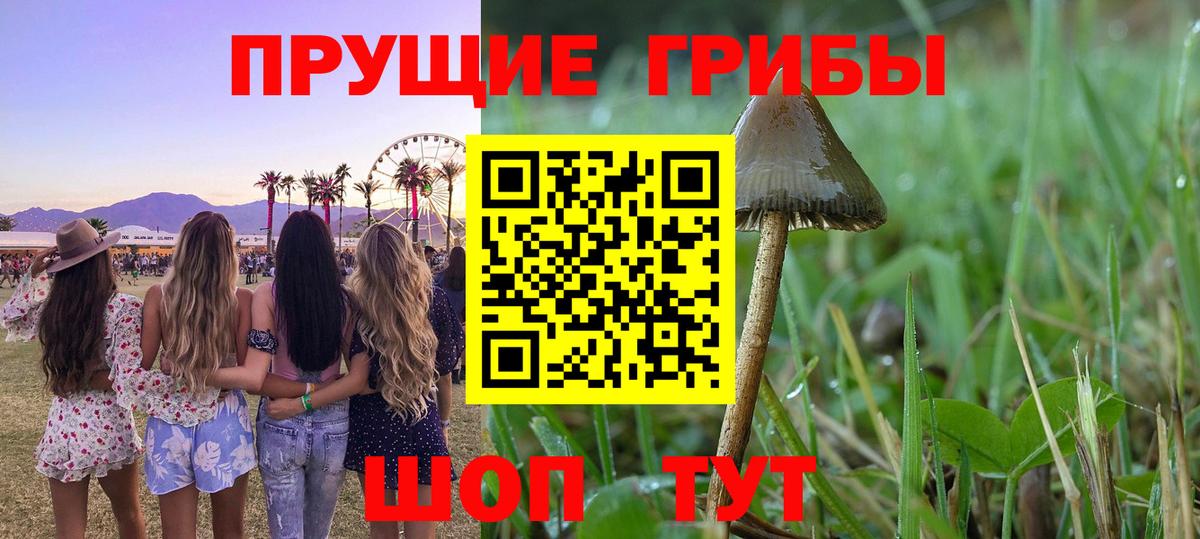 Галлюциногенные грибы Magic Shrooms Углич